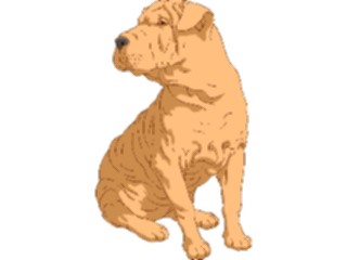 Sticker Custom Preview Image #023302 Animals Domesticated Shar Pei1