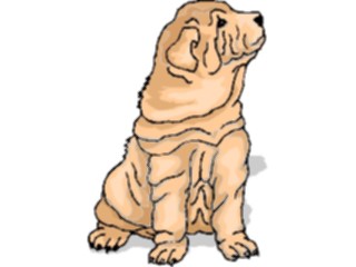 Sticker Custom Preview Image #023304 Animals Domesticated Shar Pei3