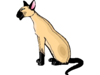 Sticker Custom Preview Image #023309 Animals Domesticated Siamese Cat