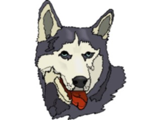 Sticker Custom Preview Image #023311 Animals Domesticated Siberian Husky2