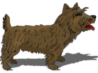 Sticker Custom Preview Image #023315 Animals Domesticated Terrier1