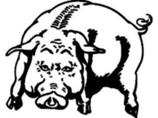 Sticker Custom Preview Image #023322 Animals Farm Animals Boar