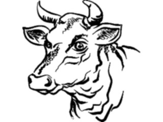 Sticker Custom Preview Image #023323 Animals Farm Animals Bull01