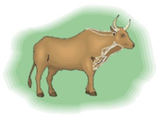 Sticker Custom Preview Image #023334 Animals Farm Animals Bull12