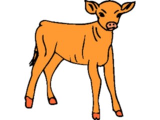 Sticker Custom Preview Image #023341 Animals Farm Animals Calf3