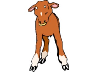 Sticker Custom Preview Image #023343 Animals Farm Animals Calf5