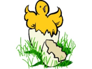 Sticker Custom Preview Image #023346 Animals Farm Animals Chick01