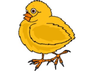 Sticker Custom Preview Image #023349 Animals Farm Animals Chick04