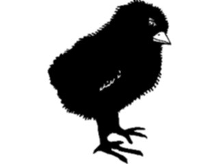 Sticker Custom Preview Image #023350 Animals Farm Animals Chick05