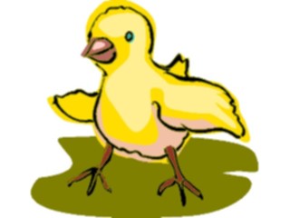 Sticker Custom Preview Image #023351 Animals Farm Animals Chick06