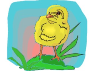 Sticker Custom Preview Image #023352 Animals Farm Animals Chick07