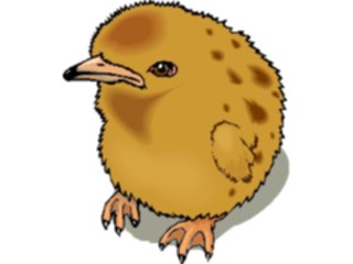 Sticker Custom Preview Image #023356 Animals Farm Animals Chick11