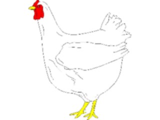 Sticker Custom Preview Image #023359 Animals Farm Animals Chicken02