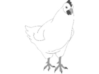 Sticker Custom Preview Image #023361 Animals Farm Animals Chicken04