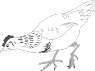 Sticker Custom Preview Image #023363 Animals Farm Animals Chicken06