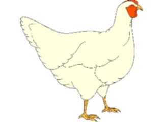 Sticker Custom Preview Image #023364 Animals Farm Animals Chicken07