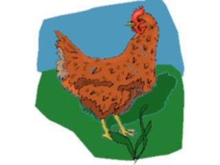 Sticker Custom Preview Image #023367 Animals Farm Animals Chicken10