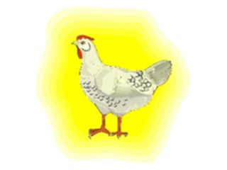 Sticker Custom Preview Image #023368 Animals Farm Animals Chicken11