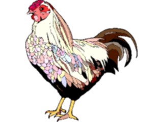 Sticker Custom Preview Image #023369 Animals Farm Animals Chicken12