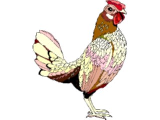 Sticker Custom Preview Image #023370 Animals Farm Animals Chicken13