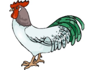 Sticker Custom Preview Image #023371 Animals Farm Animals Chicken14