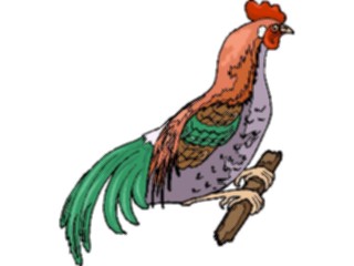 Sticker Custom Preview Image #023374 Animals Farm Animals Chicken17