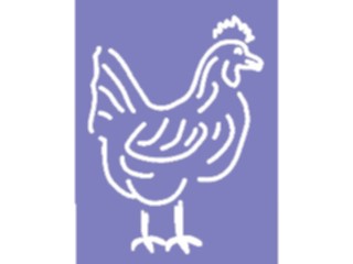 Sticker Custom Preview Image #023380 Animals Farm Animals Chicken23