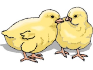 Sticker Custom Preview Image #023388 Animals Farm Animals Chicks2