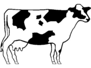 Sticker Custom Preview Image #023396 Animals Farm Animals Cow04