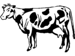 Sticker Custom Preview Image #023410 Animals Farm Animals Cow18