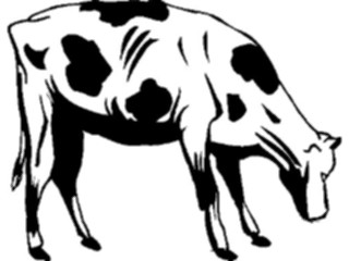 Sticker Custom Preview Image #023412 Animals Farm Animals Cow20