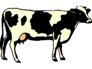 Sticker Custom Preview Image #023415 Animals Farm Animals Cow23