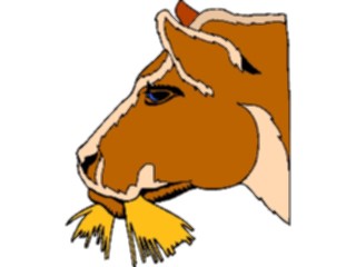 Sticker Custom Preview Image #023416 Animals Farm Animals Cow24