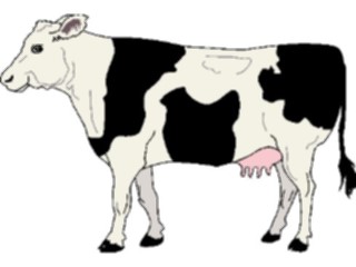 Sticker Custom Preview Image #023417 Animals Farm Animals Cow25