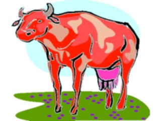 Sticker Custom Preview Image #023418 Animals Farm Animals Cow26