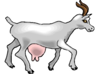 Sticker Custom Preview Image #023448 Animals Farm Animals Goat7