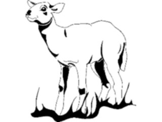 Sticker Custom Preview Image #023455 Animals Farm Animals Lamb4