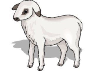 Sticker Custom Preview Image #023458 Animals Farm Animals Lamb7