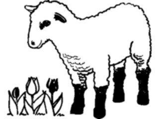 Sticker Custom Preview Image #023461 Animals Farm Animals Lamb Tulips