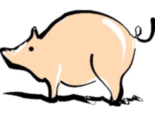 Sticker Custom Preview Image #023469 Animals Farm Animals Pig05