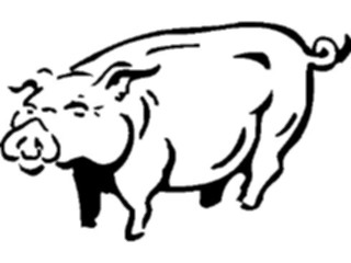 Sticker Custom Preview Image #023477 Animals Farm Animals Pig13