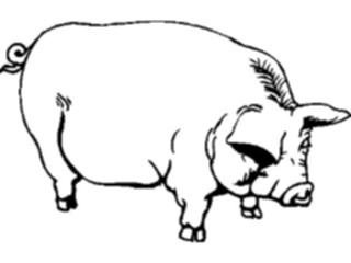 Sticker Custom Preview Image #023478 Animals Farm Animals Pig14