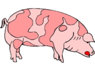 Sticker Custom Preview Image #023479 Animals Farm Animals Pig15