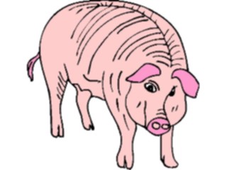 Sticker Custom Preview Image #023480 Animals Farm Animals Pig16