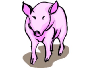 Sticker Custom Preview Image #023482 Animals Farm Animals Pig18