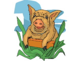 Sticker Custom Preview Image #023484 Animals Farm Animals Pig20