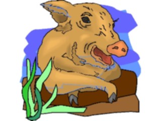 Sticker Custom Preview Image #023485 Animals Farm Animals Pig21