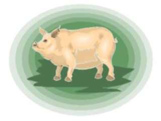 Sticker Custom Preview Image #023493 Animals Farm Animals Pig29