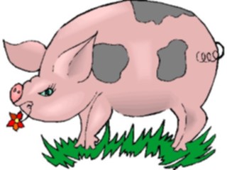 Sticker Custom Preview Image #023494 Animals Farm Animals Pig30