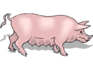 Sticker Custom Preview Image #023496 Animals Farm Animals Pig32